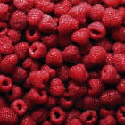 Miniatura fototapety Himbeeren
