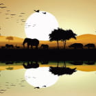 Miniatura fototapety Natur Afrikas