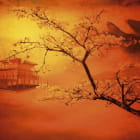 Miniatura fototapety Blühender Baum bei Sonnenuntergang