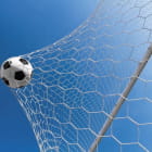 Miniatura fototapety Fußball im Tor
