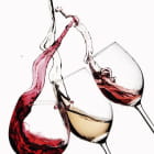 Miniatura fototapety Gläser Wein