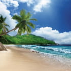Miniatura fototapety Palmen an einem sonnigen Strand